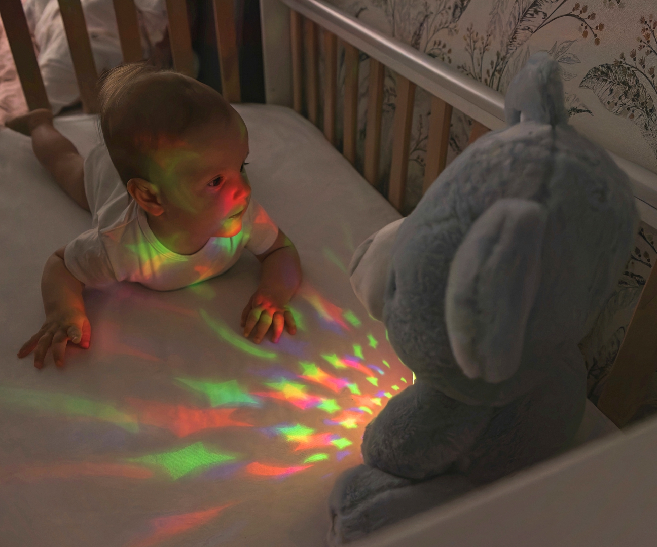 Milly Mally Zabawka pluszowa z Projektorem Milly Bear Blue — zdjęcie 13
