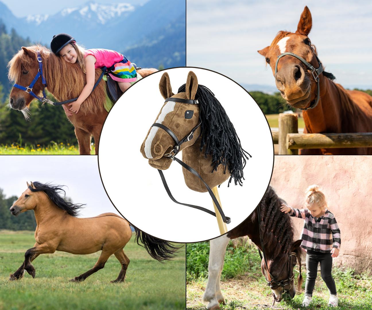 Milly Mally Hobby Plus Koń na Kiju Dark Brown — zdjęcie 6