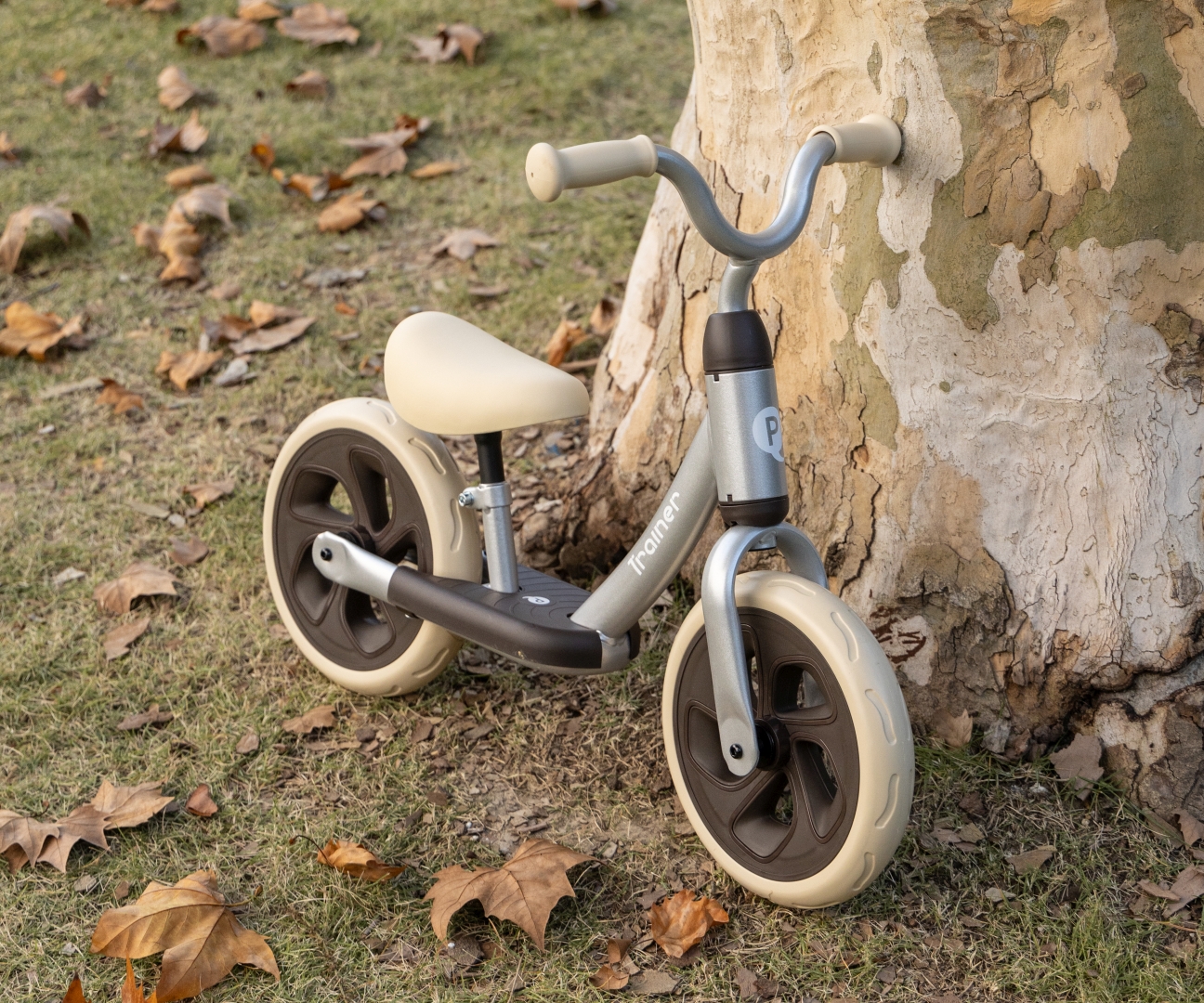 Qplay Rowerek Biegowy Trainer Silver — zdjęcie 5